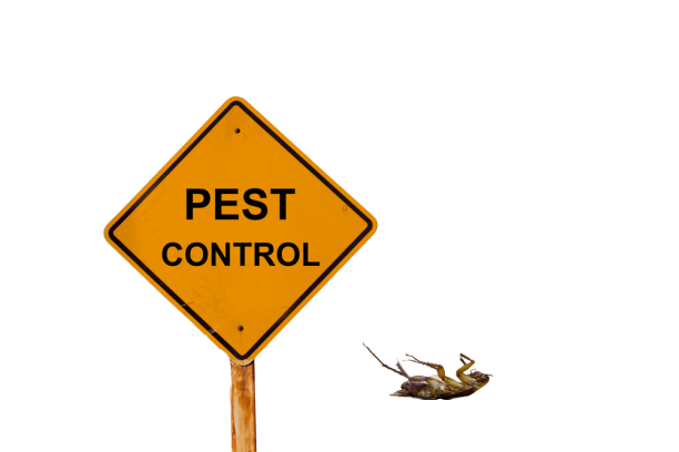 Pest control